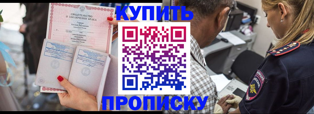 прописка законно в Вольске